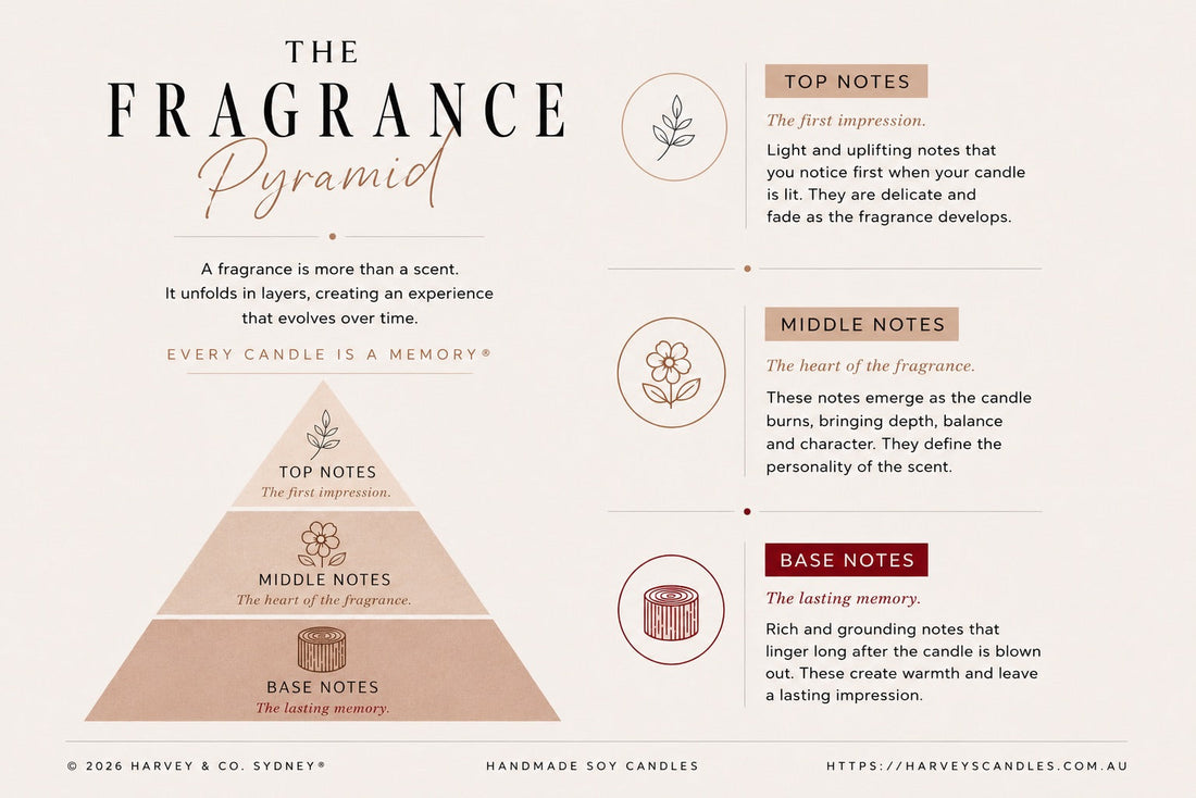 The Story Behind Every Scent (Fragrance Pyramid)