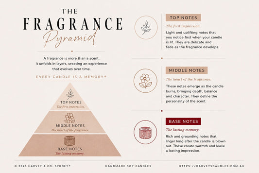 The Story Behind Every Scent (Fragrance Pyramid)