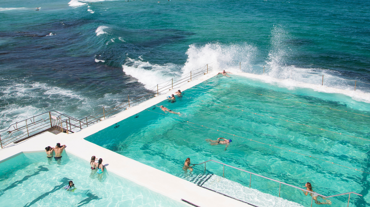 The Summer Collection