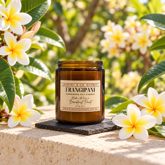 Frangipani soy candle by Harvey & Co. Sydney styled outdoors among blooming frangipani flowers on a stone ledge.