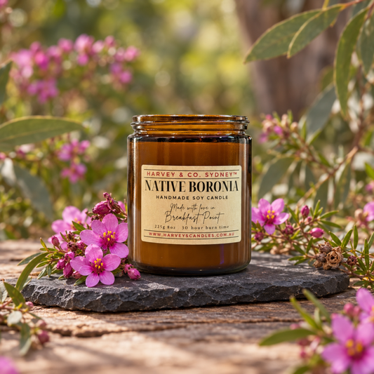 An amber glass jar candle labeled 'Native Boronia' by Harvey & Co. Sydney, styled outdoors on a dark stone slab with pink flowers and green leaves in the background.