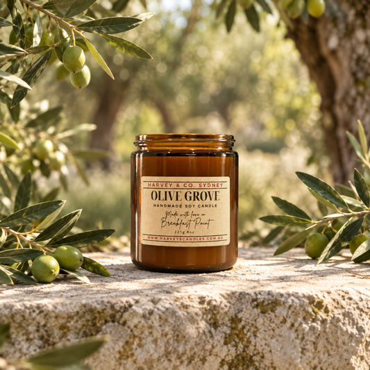 An amber glass jar candle labeled 'Olive Grove' by Haven & Co. Farms sits on a stone surface outdoors, surrounded by olive branches and leaves in a sunlit garden setting.