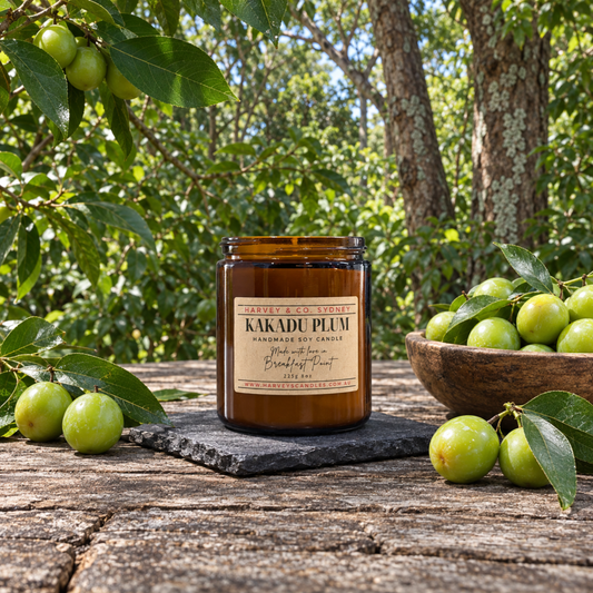 An amber glass jar candle labeled 'Kakadu Plum' sits on a rustic wooden table outdoors, surrounded by green plums, leaves, and tree trunks. The candle is styled with a dark slate coaster, with a wooden bowl of plums on the right and loose plums on the left.