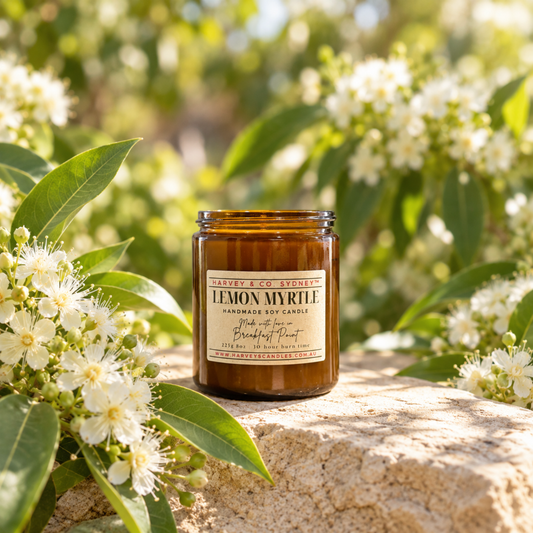 A glass jar candle labeled 'Lemon Myrtle' sits on a stone surface outdoors, surrounded by white flowers and green leaves in a sunlit garden setting.