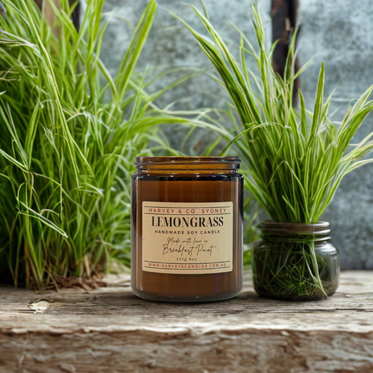 Harvey & Co. Sydney lemongrass candle with plants in the background