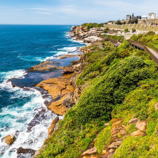 Coastal landscape with ocean, cliffs, and a wooden walkway.
