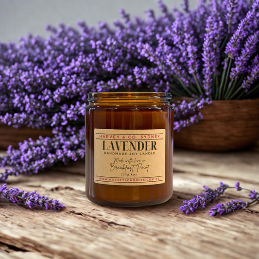Harvey & Co. Sydney lavender candle on a wooden surface with lavender flowers in the background