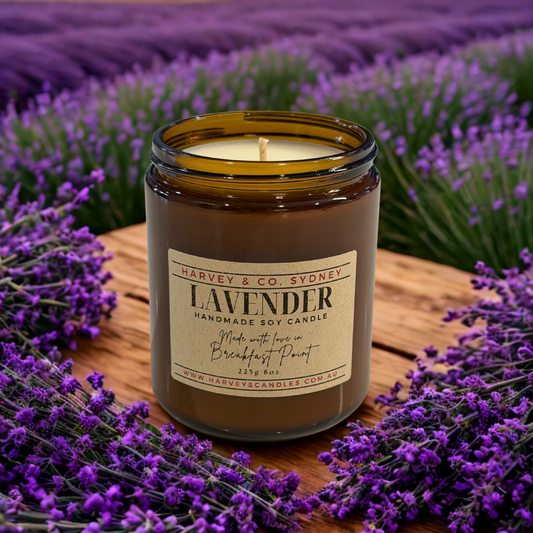 Harvey & Co. Sydney lavender candle on a wooden surface with lavender flowers in the background