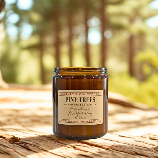 Candle labeled 'Pine Trees' on a wooden surface with a forest background