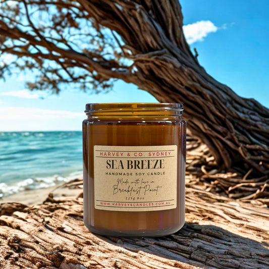 Harvey & Co. Sydney sea breeze candle on a beach with ocean and sky in the background