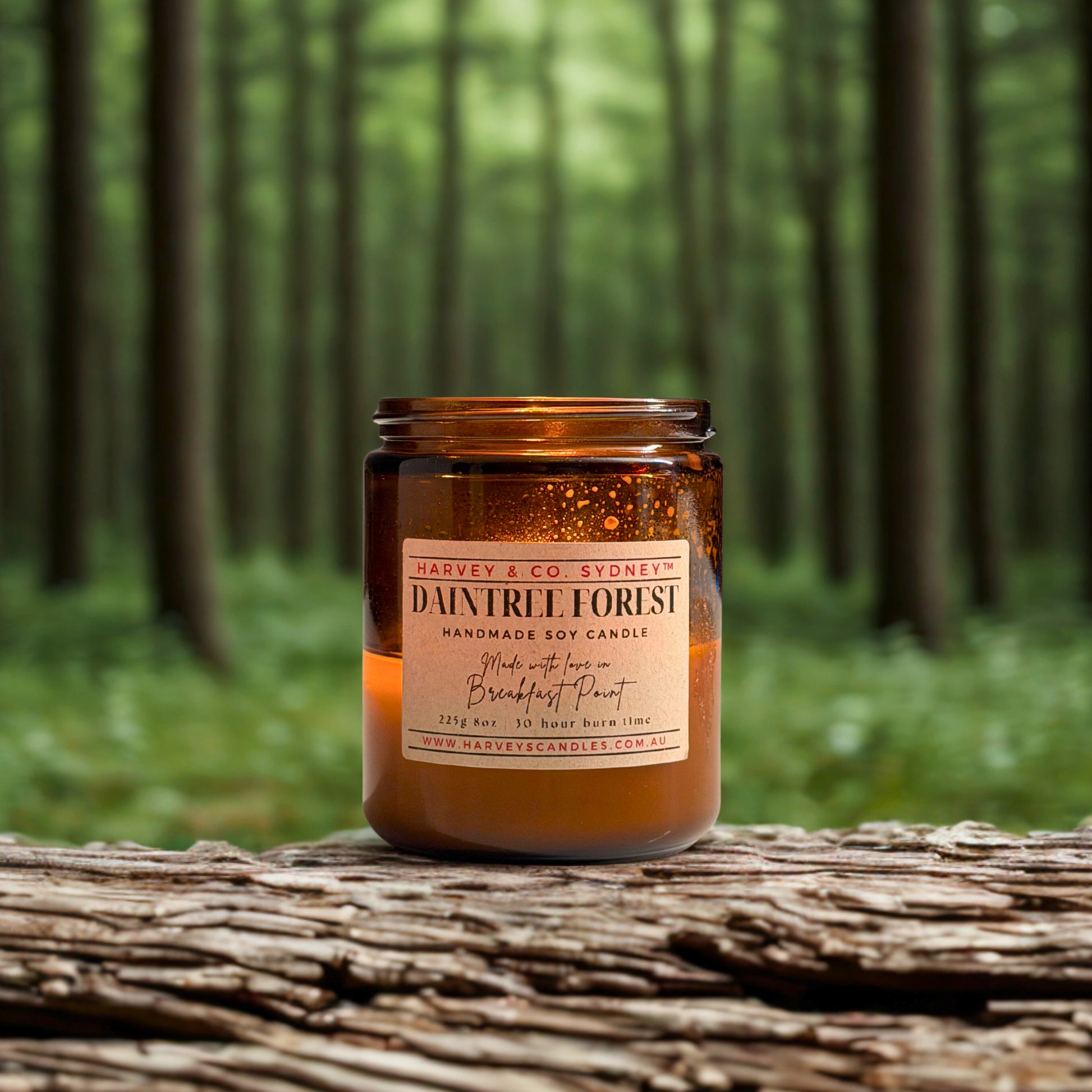 Candle labeled 'Daintree Forest' by Harvey & Co. Sydney on a log with a forest background
