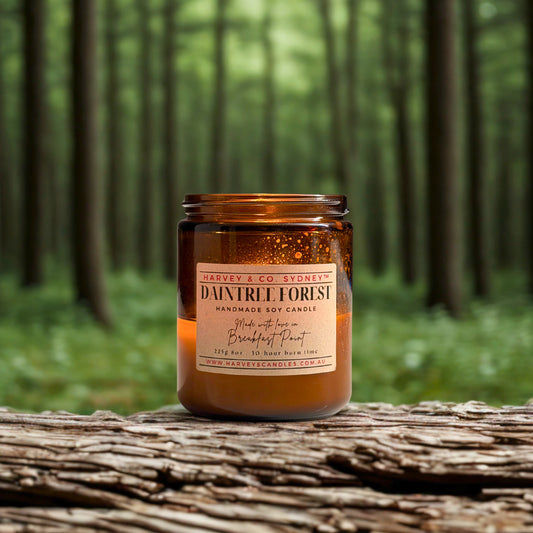 Candle labeled 'Daintree Forest' by Harvey & Co. Sydney on a log with a forest background
