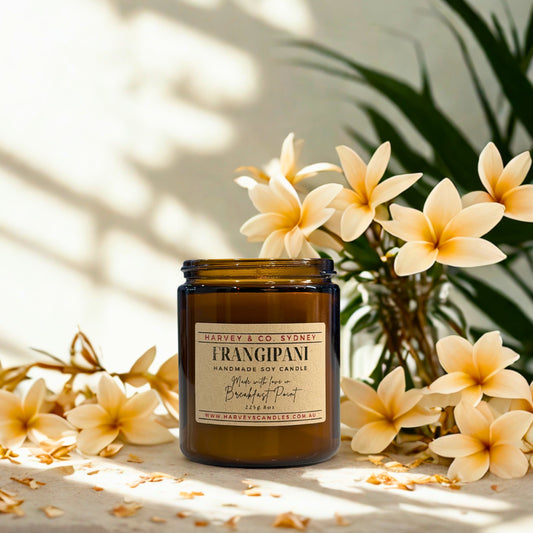 Harvey & Co. Sydney Frangipani candle with flowers and leaves in the background