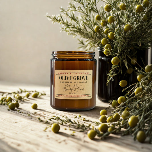 Olive Grove candle from Harvey & Co Sydney with greenery on a wooden surface