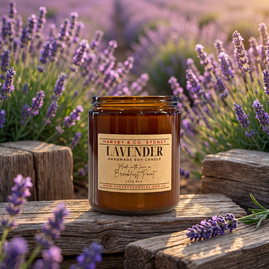 Harvey & Co. Sydney lavender candle on a wooden surface with lavender flowers in the background