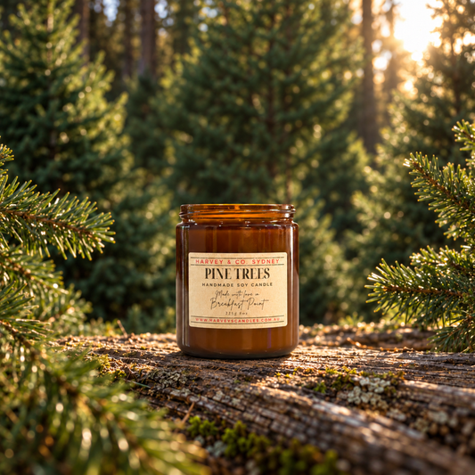 An amber glass jar candle labeled Pine Trees Handmade Soy Candle sits on a mossy log in a sunlit forest with pine branches framing the scene.