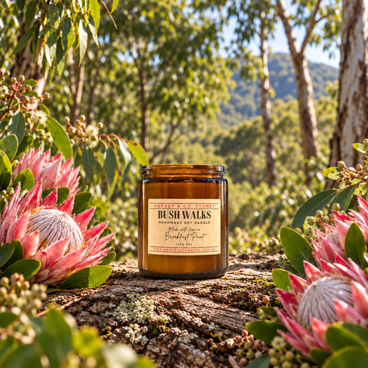 An amber glass jar candle labeled 'BUSH WALKS' sits on a log outdoors, surrounded by green leaves, pine branches, and pink protea flowers, with a blurred forest background.