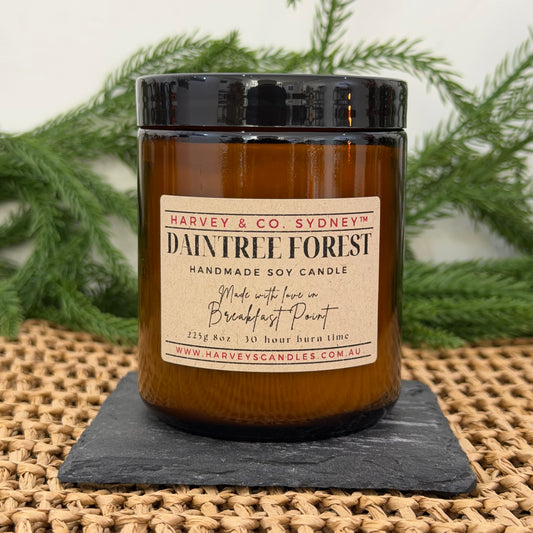 Harvey & Co. Sydney candle labeled 'Daintree Forest' on a woven surface with greenery in the background