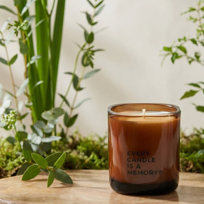 An amber glass jar candle with a wick sits on a wooden tray surrounded by green plants against a soft beige background. The candle has white text on the front that reads 'EVERY CANDLE IS A MEMORY'.