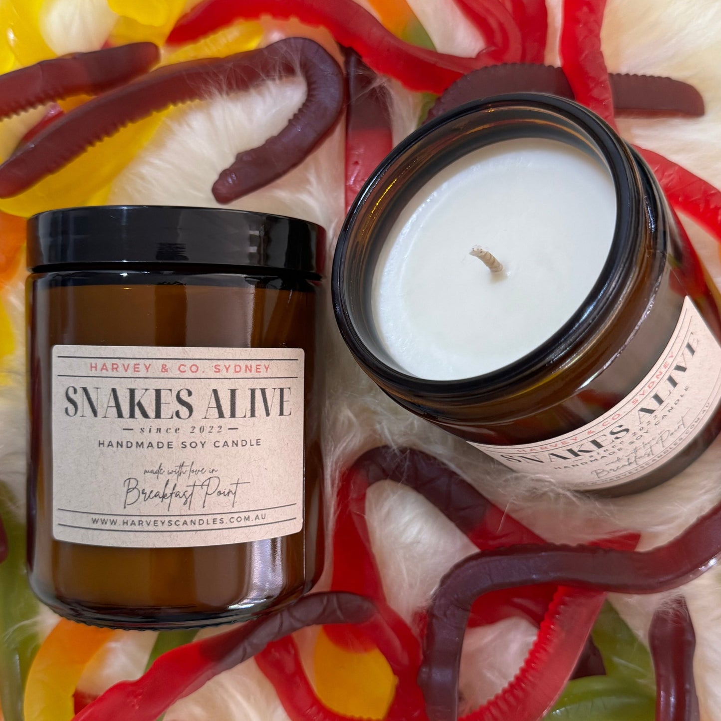 Snakes Alive Soy Candle