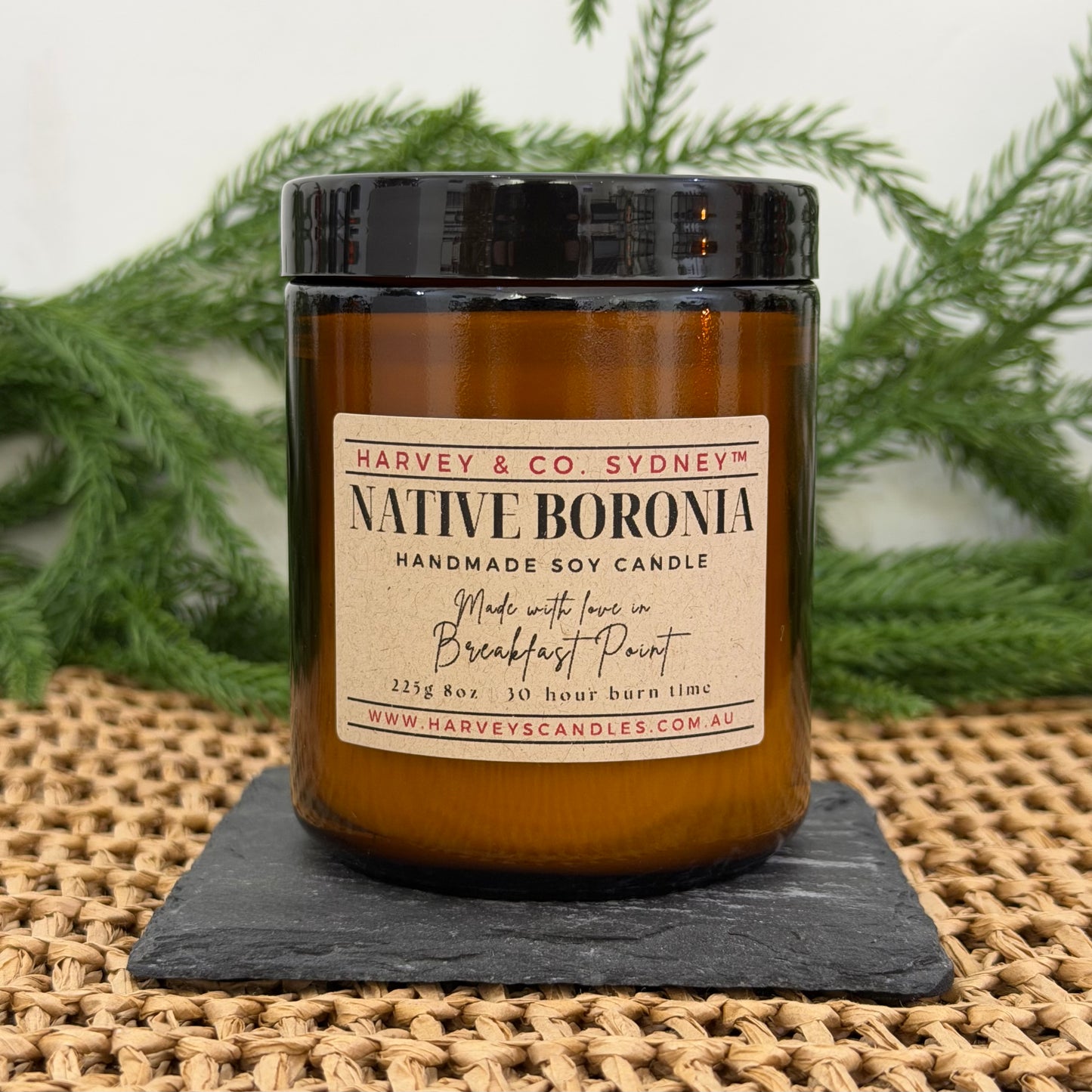 Harvey & Co. Sydney Native Boronia candle on a slate coaster with greenery in the background