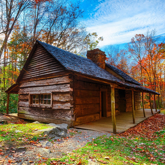 An amber jar soy candle with a black lid, depicted in front of a rustic log cabin in a forest setting with autumn leaves.