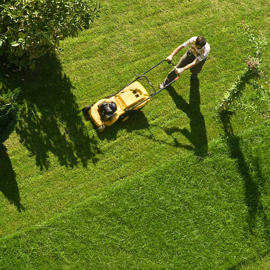 Suburbia (Suburban Dream) Soy Candle